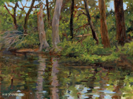 backwater