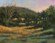 evening field