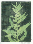 fern monotype