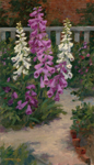 foxgloves