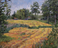 hayfield