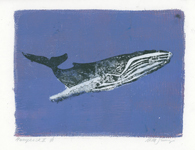 Humpback Whale monotype