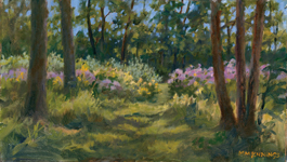 Wild Pasture