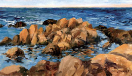 rocks