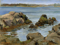 tidal scene