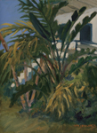 Old Florida